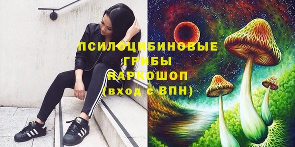 экстази Белокуриха