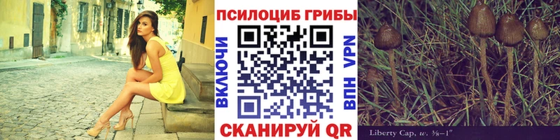 купить наркотики сайты  Кушва  Псилоцибиновые грибы Cubensis 